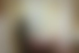 Фотография квеста Вятский квест от компании Вятский Квест (Фото 1)