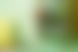 Фотография квеста Бункер от компании Патриот 43 (Фото 2)